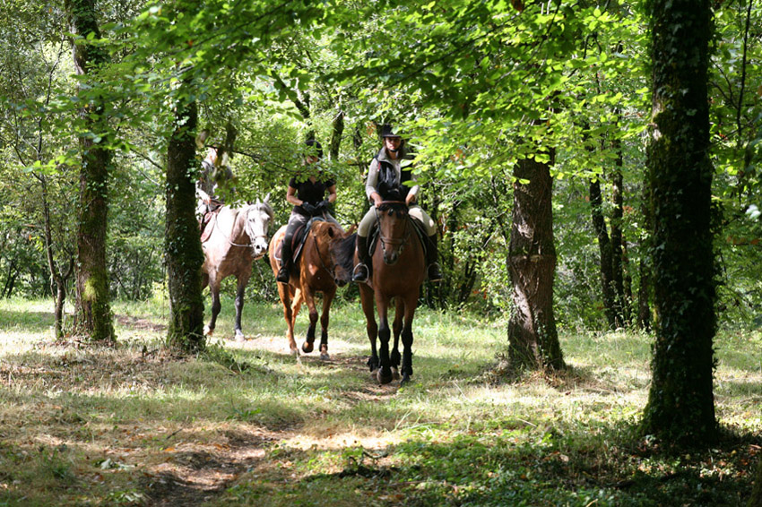 Cheval